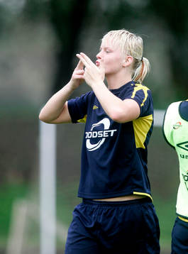 Nilla Fischer, Sverige