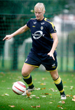 Nilla Fischer, Sverige