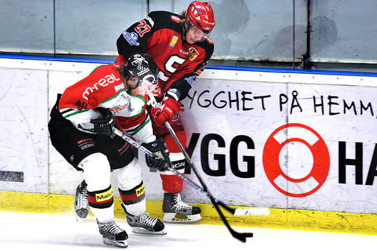 Anze Kopitar trycks upp av Magnus Gästrin, Modo