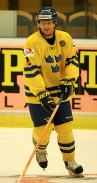 David Petrasek