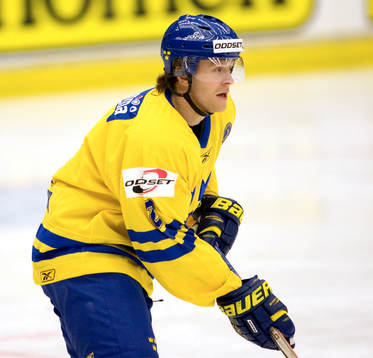 David Petrasek