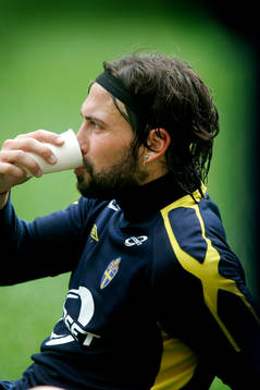 Alexander Östlund, Sverige