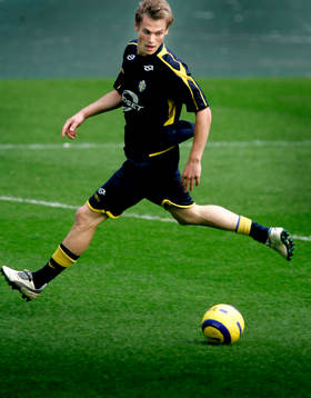 Markus Rosenberg, Sverige