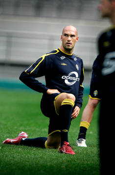 Daniel Majstorovic, Sverige