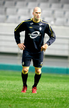 Daniel Majstorovic, Sverige