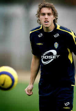 Johan Elmander, Sverige