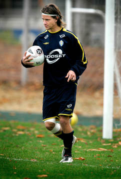 Dusan Djuric, Sverige