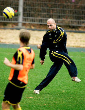 Teddy Lucic, Sverige