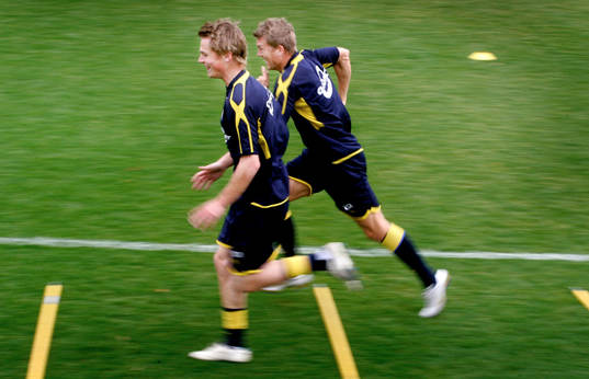 Markus Rosenberg och Markus Allbäck, Sverige