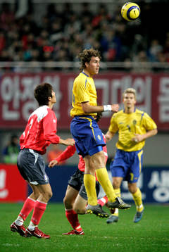 Johan Elmander, Sverige