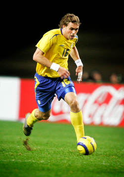 Johan Elmander, Sverige