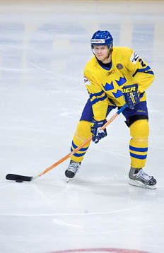 David Petrasek