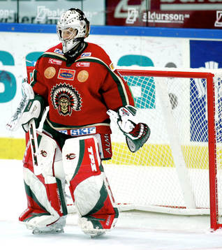Ishockey, Elitserien