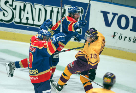 Djurgårds glädje