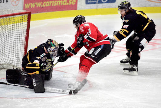 Ishockey, Allsvenskan, Malmö - AIK