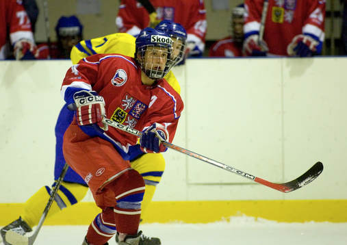 Bohdan Visnak, Tjeckien