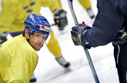 Andreas Johansson, Sverige