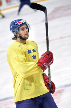 Dragan Umicevic, Sverige