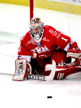 Adam Svoboda, Timrå