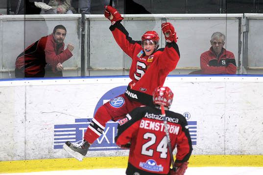 Anze Kopitar jublar