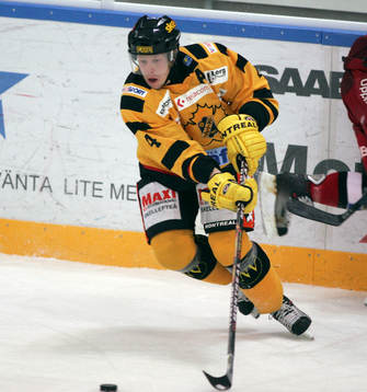 Johan Åkerman, Skellefteå