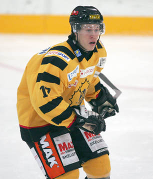 Andreas Falk, Skellefteå
