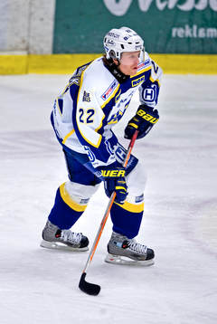 David Petrasek