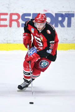 Josef Boumedienne