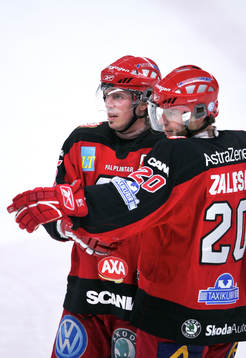 Jubel i Södertälje, Miroslav Zalesak och Jan Houkko