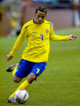 Erkan Zengin, Sverige