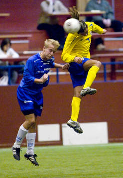 Erkan Zengin, Sverige