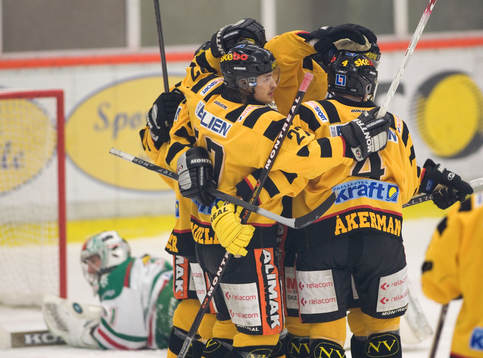 Jubel i Skellefteå