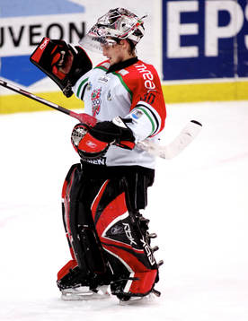 Ishockey, Elitserien