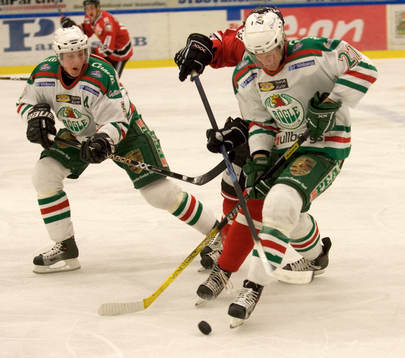 Mikael Johansson, Rögle