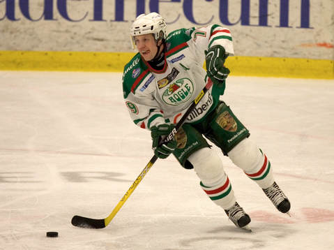 Henrik Eriksson, Rögle