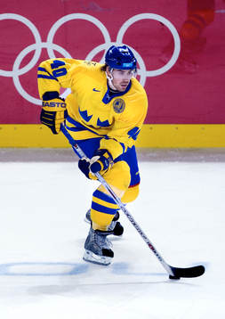Henrik Zetterberg, Sverige