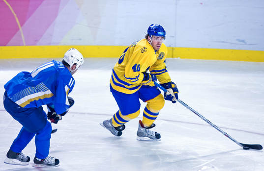 Henrik Zetterberg