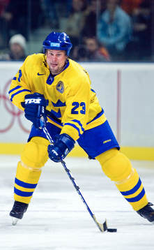 Ronnie Sundin, Sverige