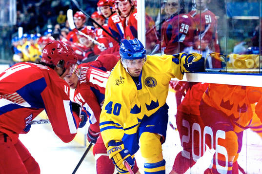 Henrik Zetterberg, Sverige