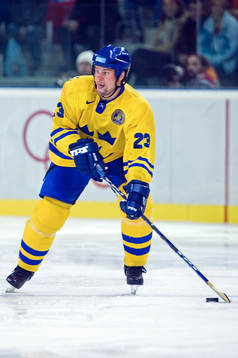 Ronnie Sundin, Sverige