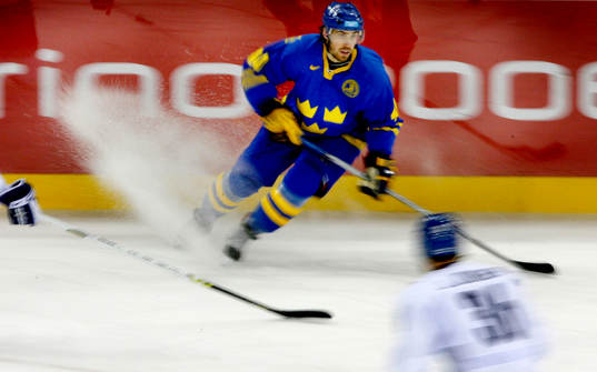Henrik Zetterberg, Sverige