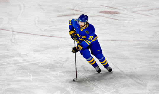 Peter Forsberg, Sverige