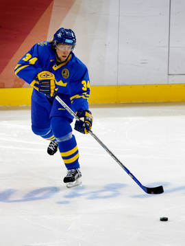 Daniel Tjärnqvist, Sverige