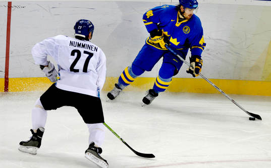 Henrik Zetterberg, Sverige
