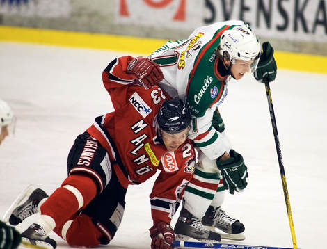 Mikael Wahlberg, Malmö och Mikael Johansson, Rögle