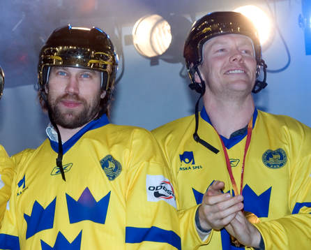 hyllningarna av Sveriges landslag