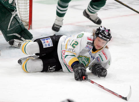 Mats Lavander, Björklöven
