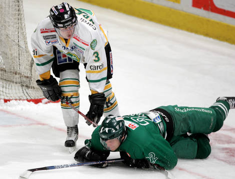 Erik Andersson, Björklöven och Dan Tryborn, Hammarby