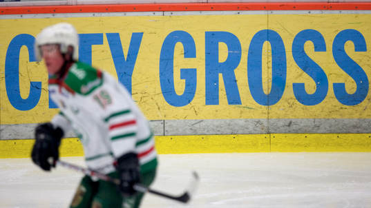 Reklam, Citygross