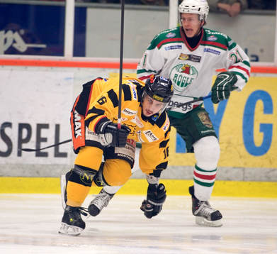 Fredrik Lindgren, Skellefteå och Mikael Johansson, Rögle